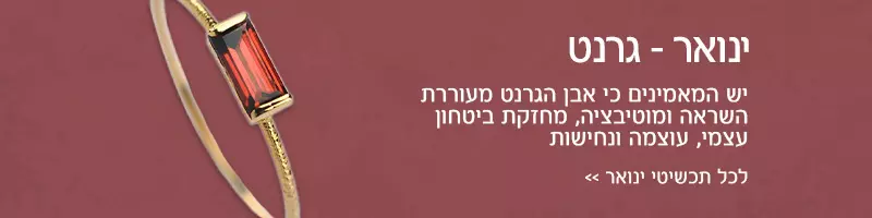 חודש ינואר - אבן גרנט