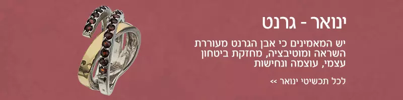 חודש ינואר - אבן גרנט