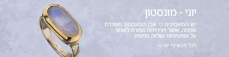 חודש יוני - אבן מונסטון