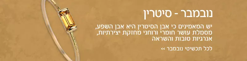 חודש נובמבר - אבן סיטרין