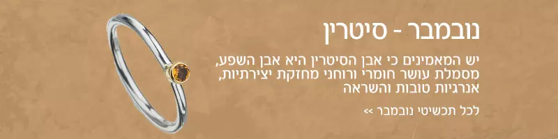 חודש נובמבר - אבן סיטרין