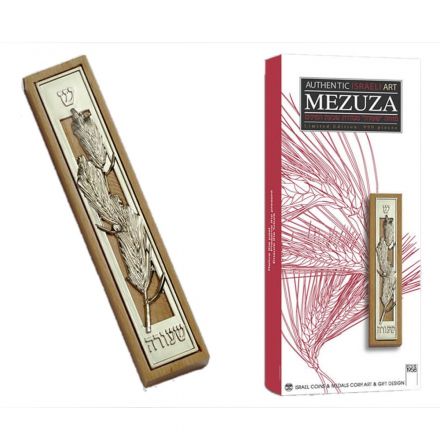 מתנה ישראלית, שעורה